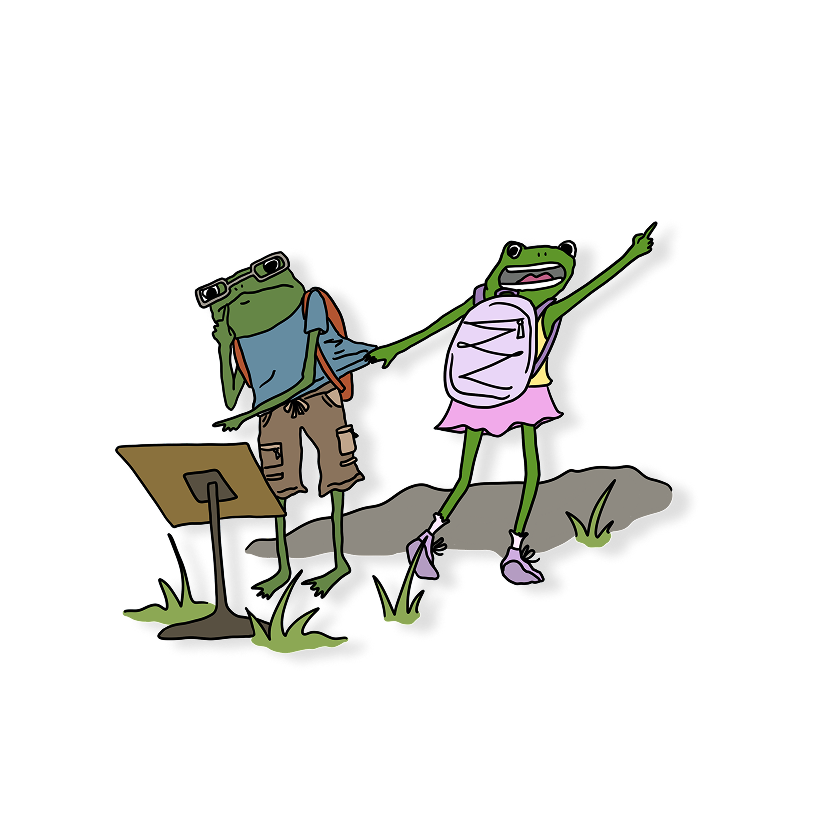 conflicted hiker frogs