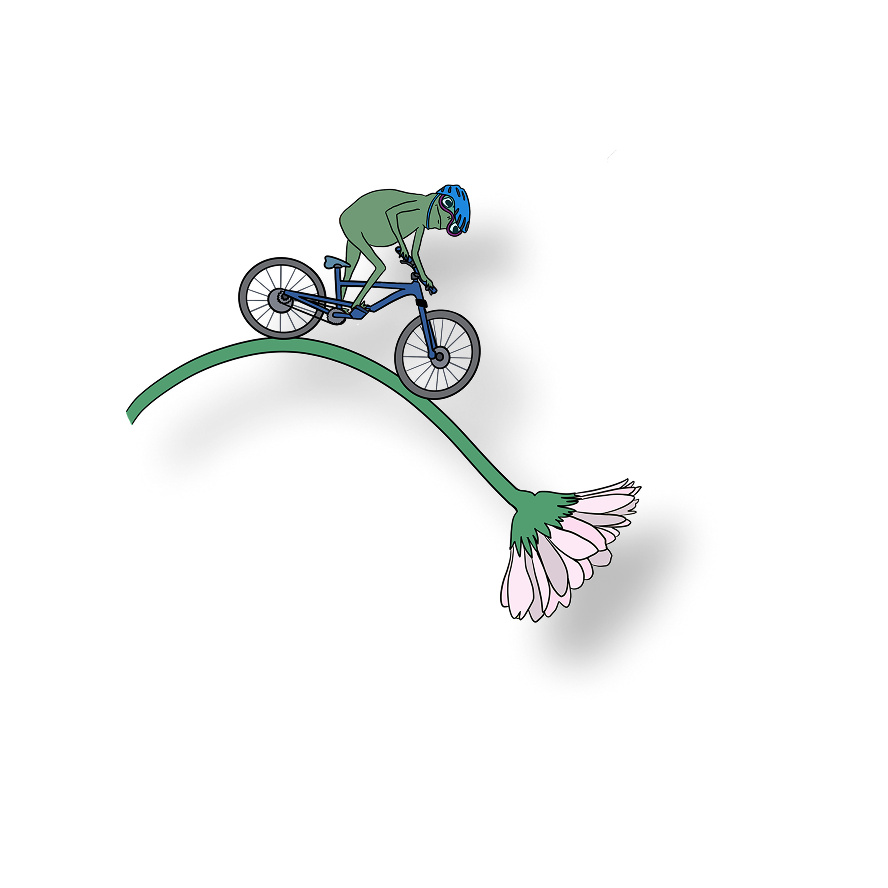 flower biker frog