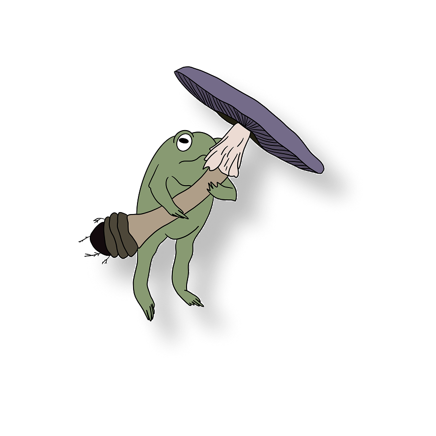 frog holding his mushroom