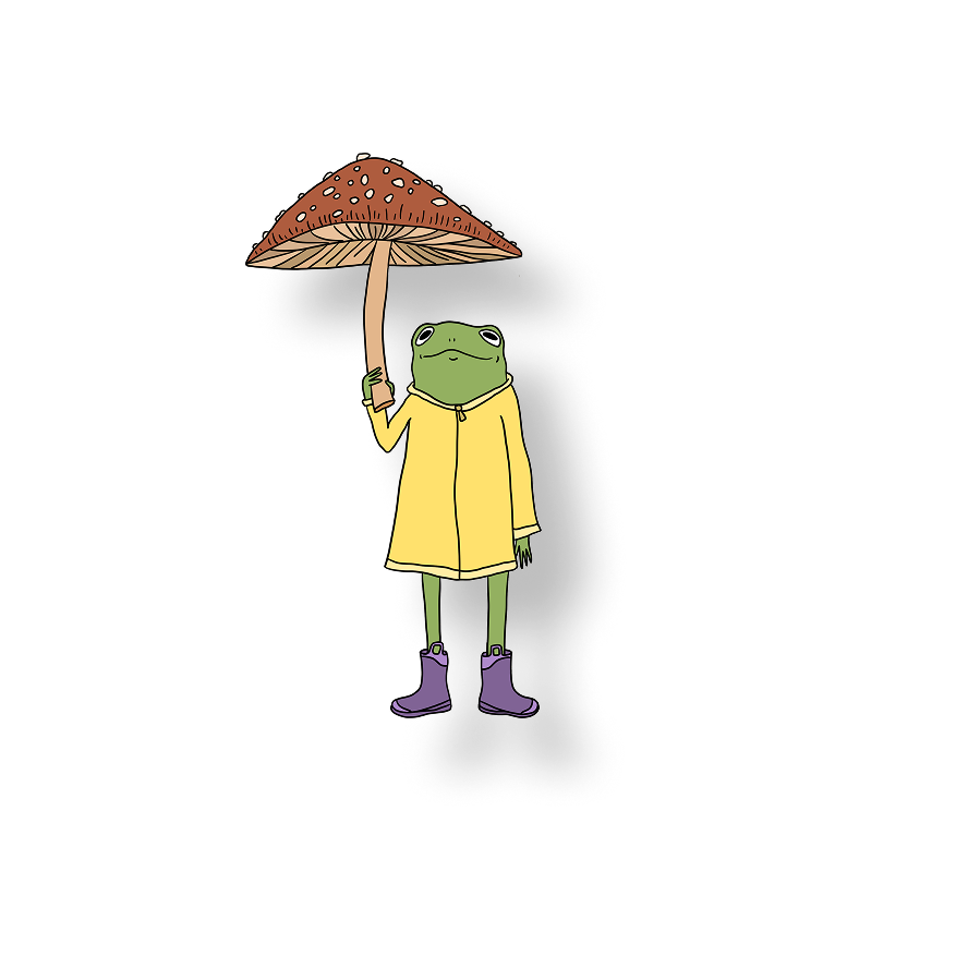 frog in the rain
