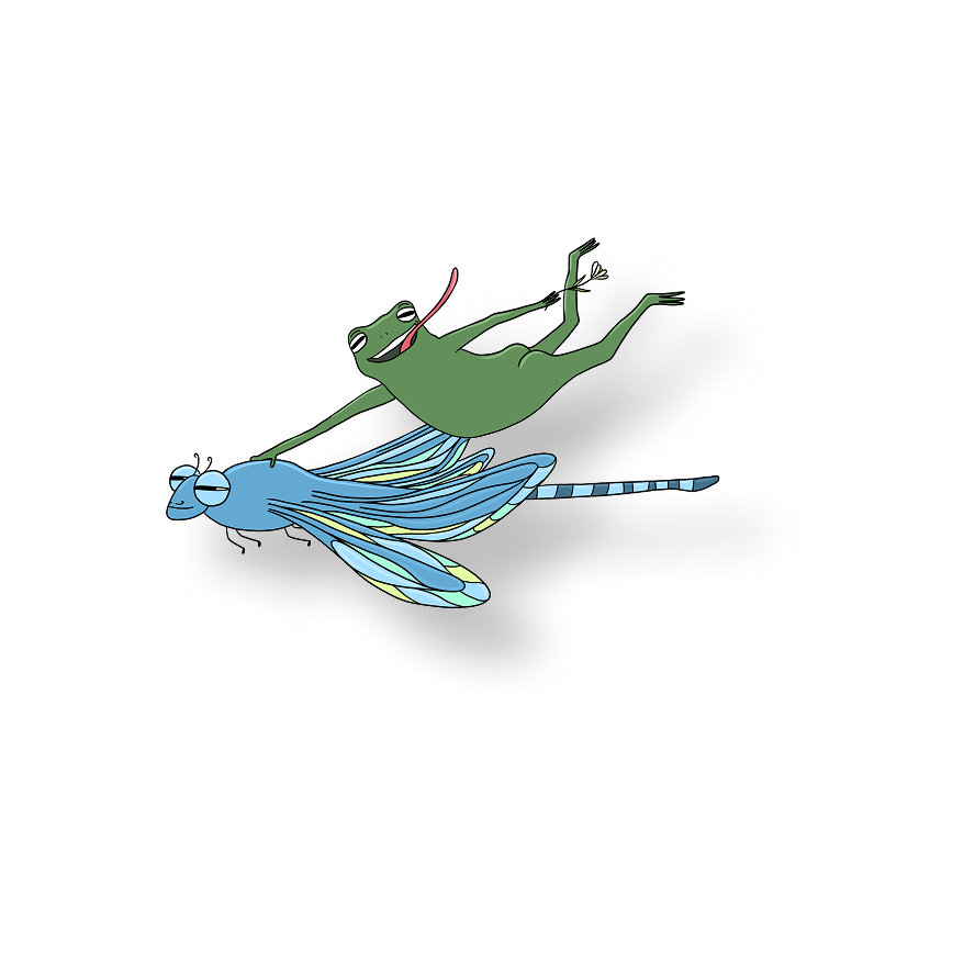 frog ridin a dragonfly