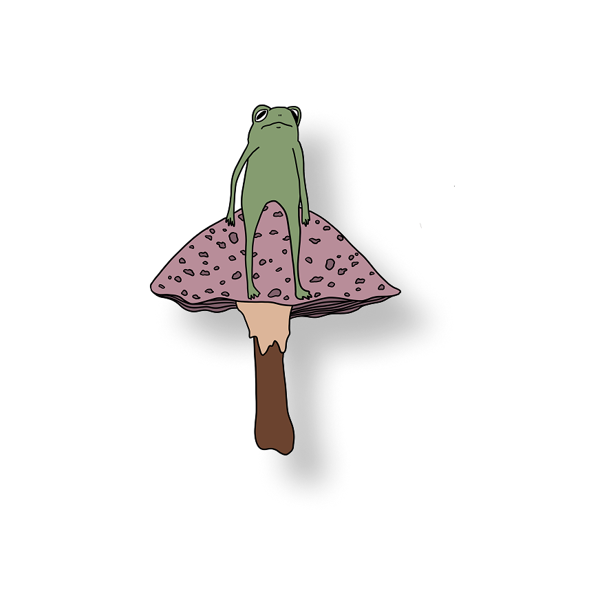 frog sittin on a mushroom