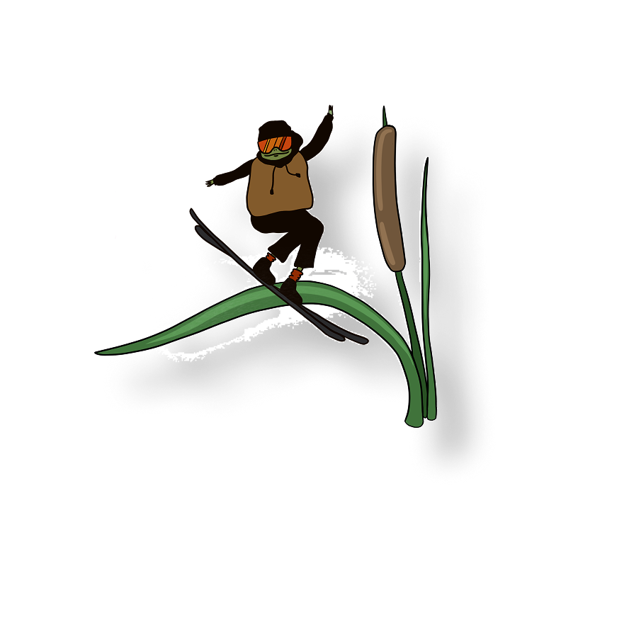frog skiing at the swamp