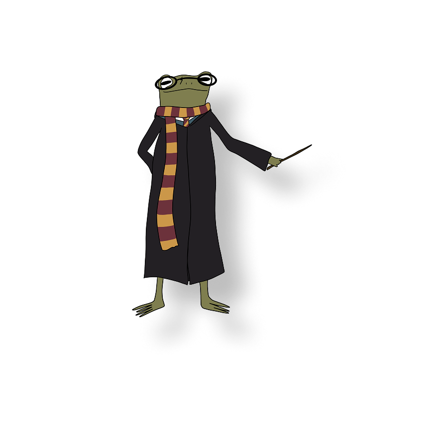 harry potter frog