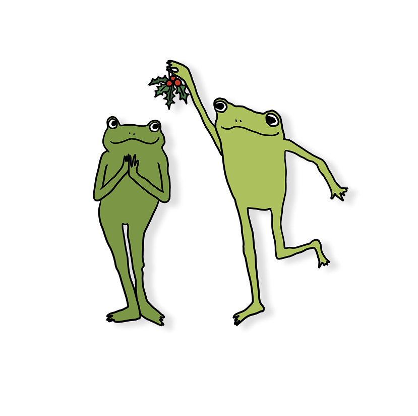 mistletoe frog