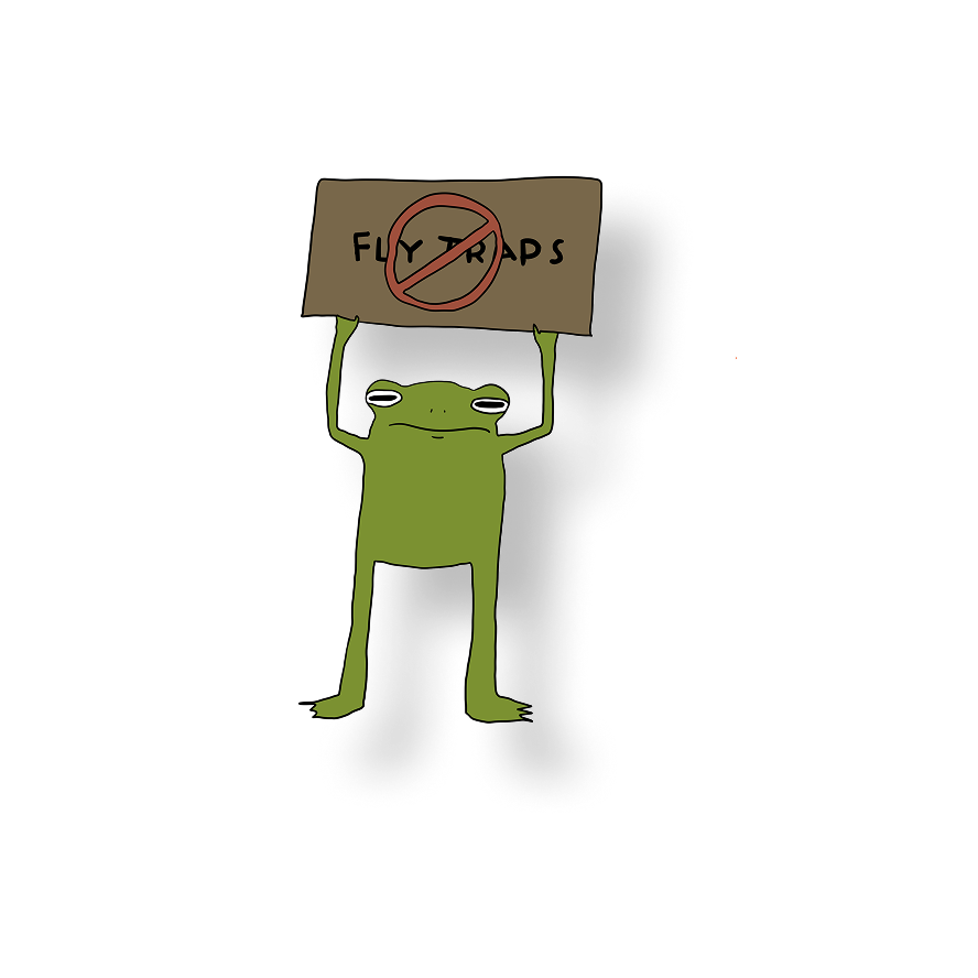 no fly traps frog