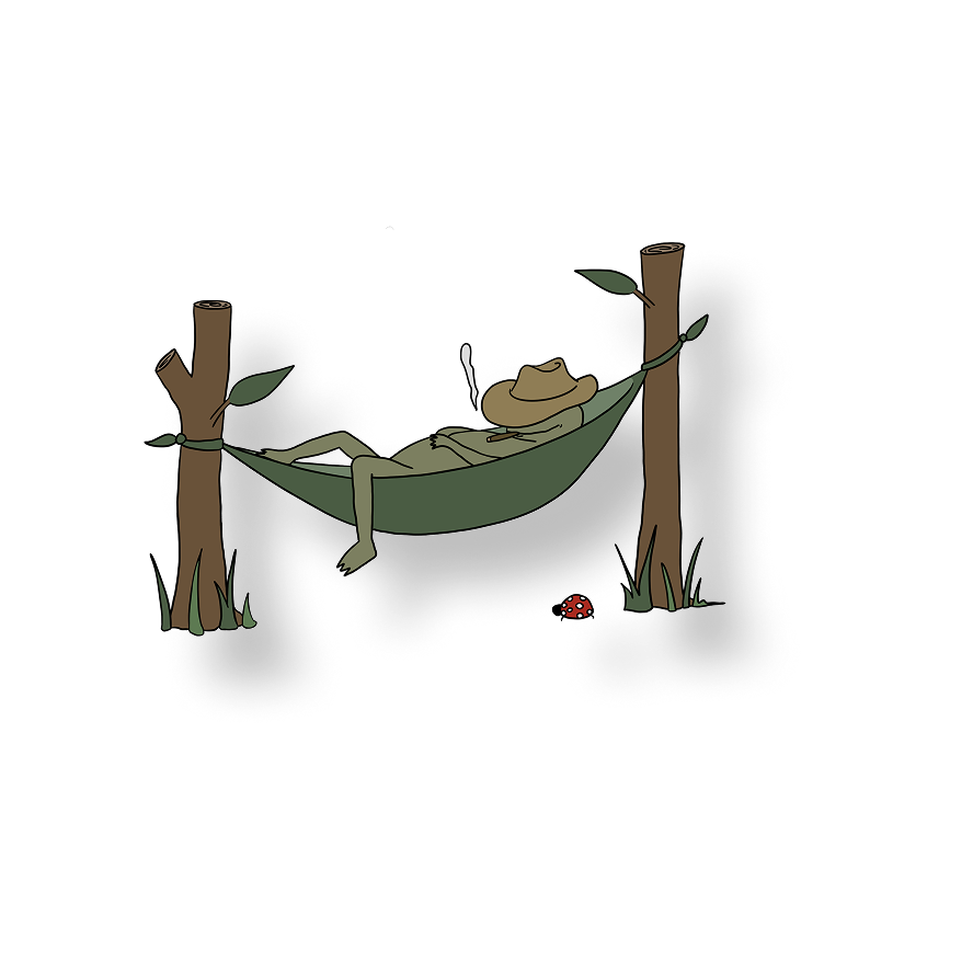 smokin in a hammock frog