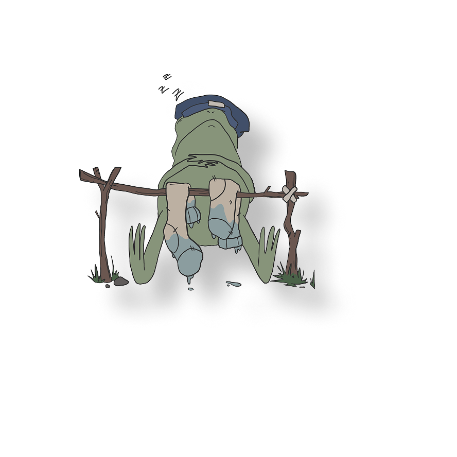 snoozin frog