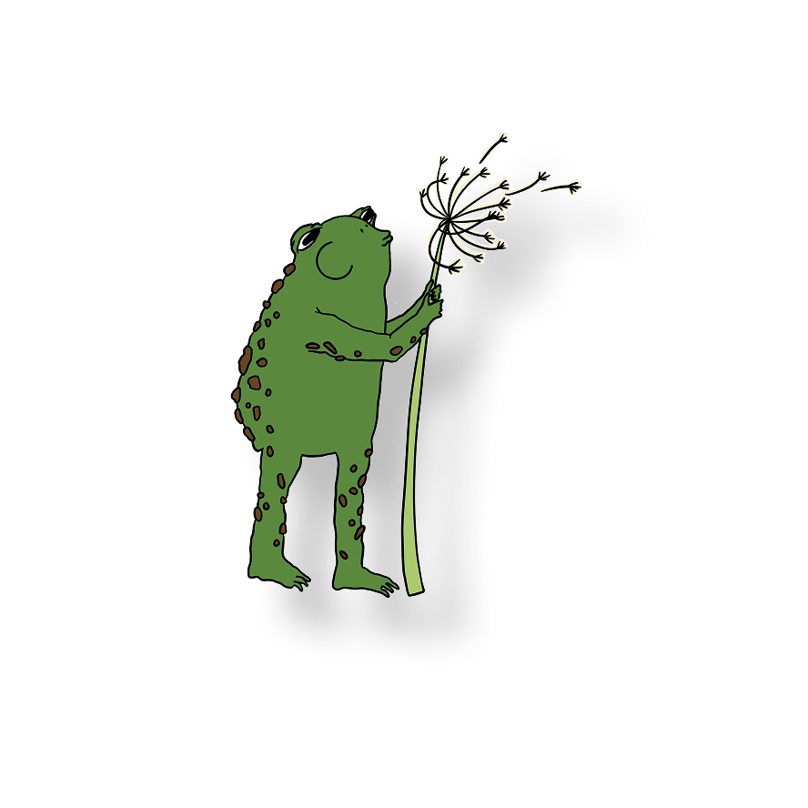wishing frog