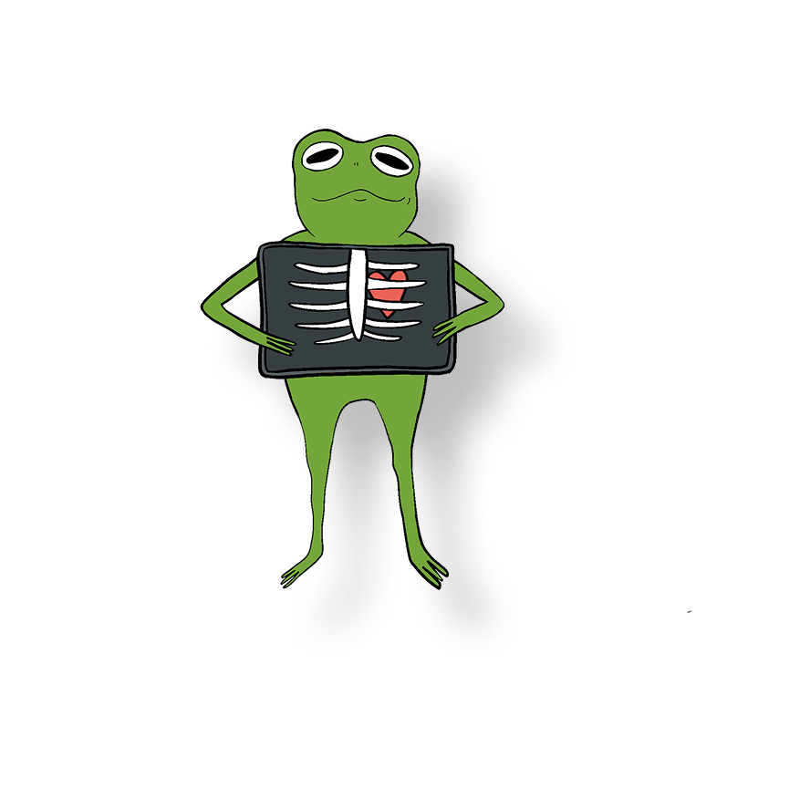 x ray heart frog
